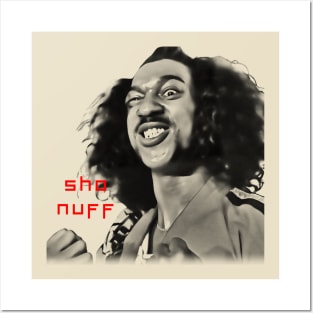 sho nuff visual art Posters and Art